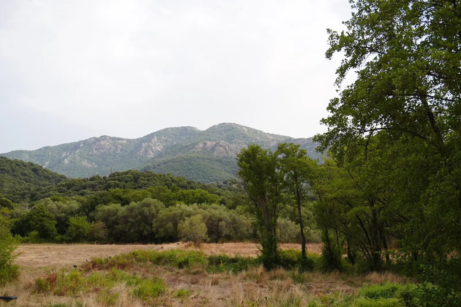 Le maquis et les montagnes qui entourent le domaine
